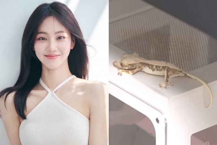 방송 탄 한지은의 반려 도마뱀 '학대 논란'…"상태 심각해"