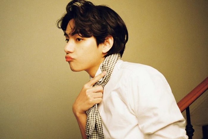 BTS 뷔, '142억' 초고가 아파트 현금 매입…어나더 클래스