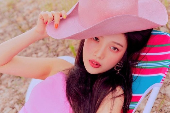 레드벨벳 조이, 드라마 복귀?…'유일무이 로맨스' 실사판 캐스팅